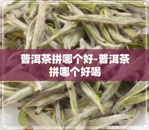 普洱茶拼哪个好-普洱茶拼哪个好喝