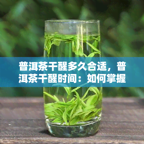 普洱茶干醒多久合适，普洱茶干醒时间：如何掌握合适的醒茶时长？