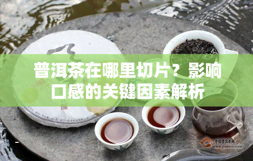 普洱茶在哪里切片？影响口感的关键因素解析