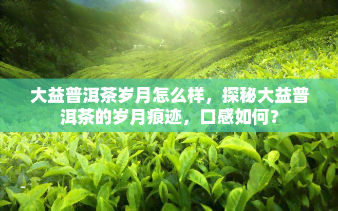 大益普洱茶岁月怎么样，探秘大益普洱茶的岁月痕迹，口感如何？