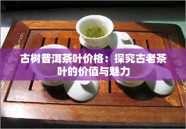 古树普洱茶叶价格：探究古老茶叶的价值与魅力