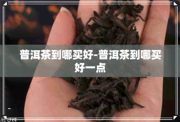 普洱茶到哪买好-普洱茶到哪买好一点