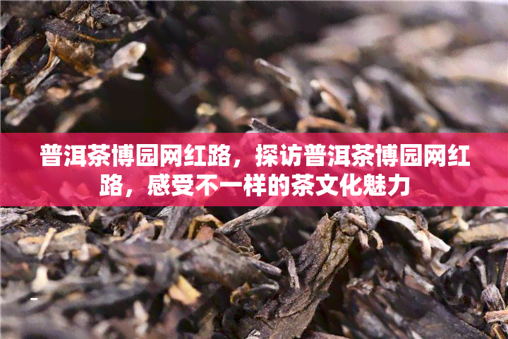 普洱茶博园网红路，探访普洱茶博园网红路，感受不一样的茶文化魅力