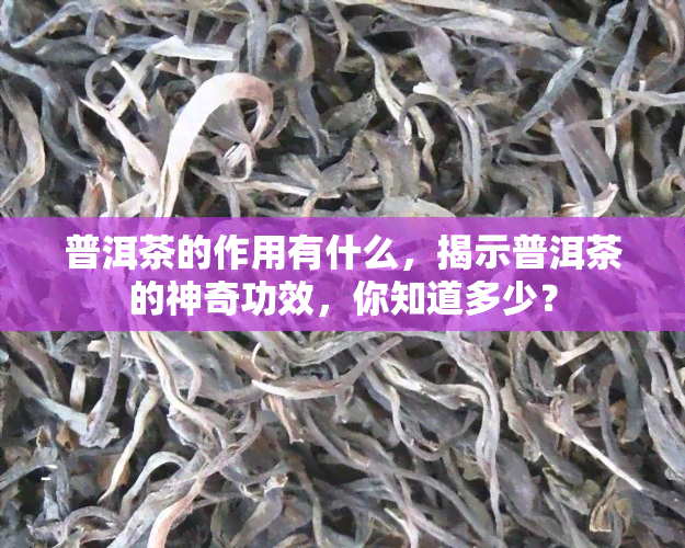 普洱茶的作用有什么，揭示普洱茶的神奇功效，你知道多少？