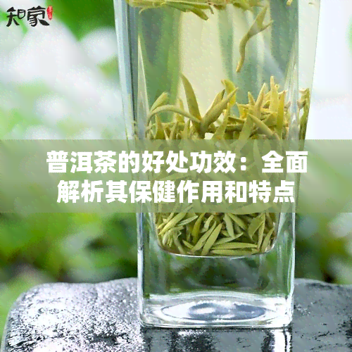 普洱茶的好处功效：全面解析其保健作用和特点