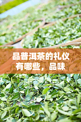 品普洱茶的礼仪有哪些，品味优雅：品普洱茶的礼仪须知