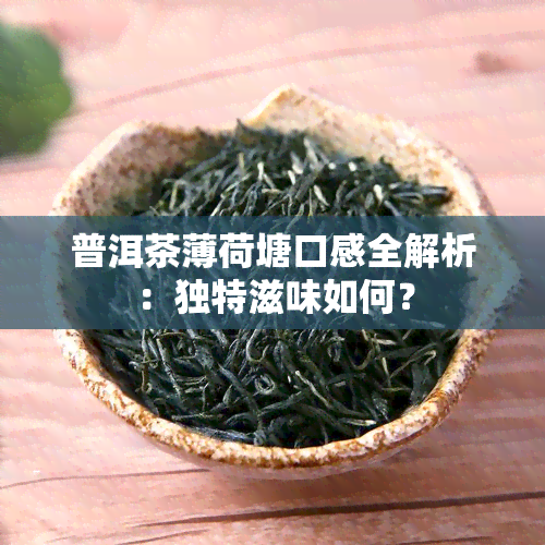 普洱茶薄荷塘口感全解析：独特滋味如何？