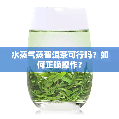 水蒸气蒸普洱茶可行吗？如何正确操作？