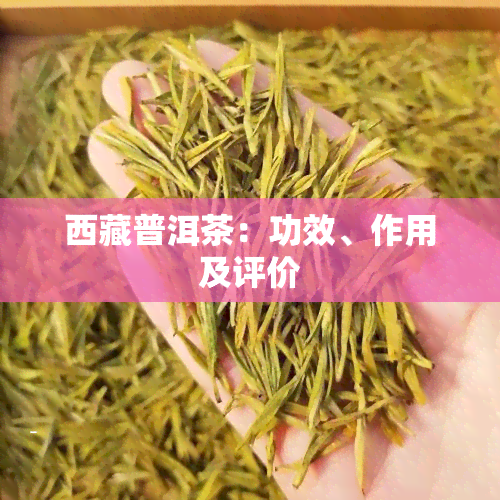  *** 普洱茶：功效、作用及评价