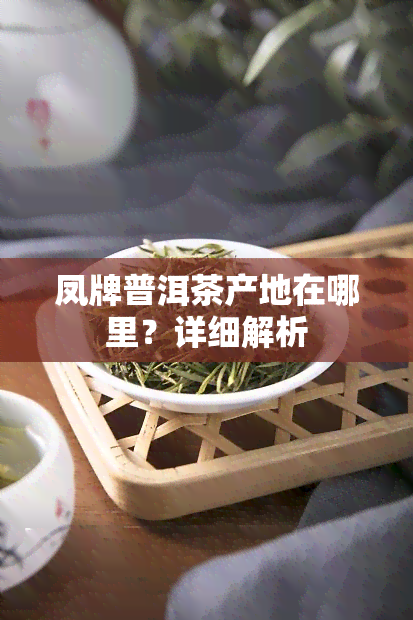 凤牌普洱茶产地在哪里？详细解析