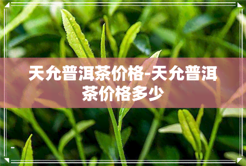 天允普洱茶价格-天允普洱茶价格多少