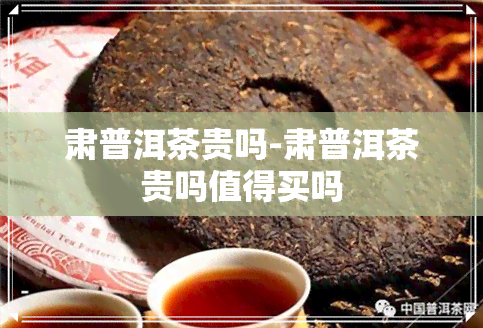 肃普洱茶贵吗-肃普洱茶贵吗值得买吗