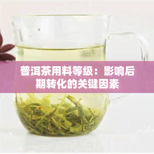 普洱茶用料等级：影响后期转化的关键因素