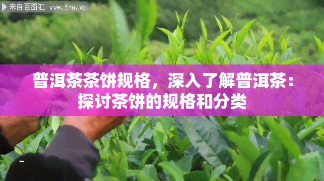 普洱茶茶饼规格，深入了解普洱茶：探讨茶饼的规格和分类