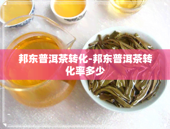 邦东普洱茶转化-邦东普洱茶转化率多少