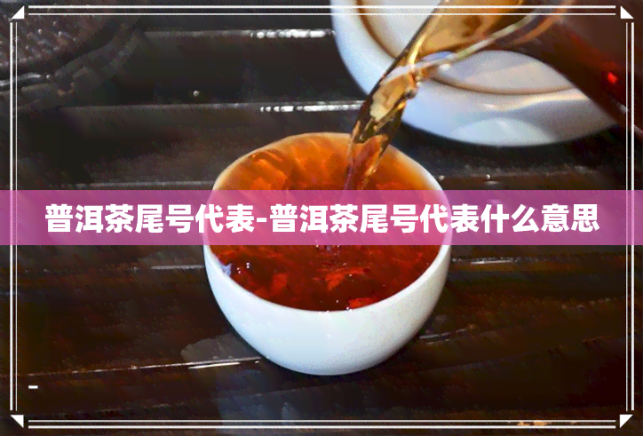 普洱茶尾号代表-普洱茶尾号代表什么意思