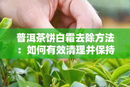 普洱茶饼白霜去除方法：如何有效清理并保持茶叶品质