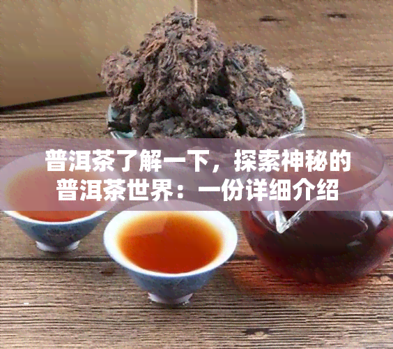 普洱茶了解一下，探索神秘的普洱茶世界：一份详细介绍