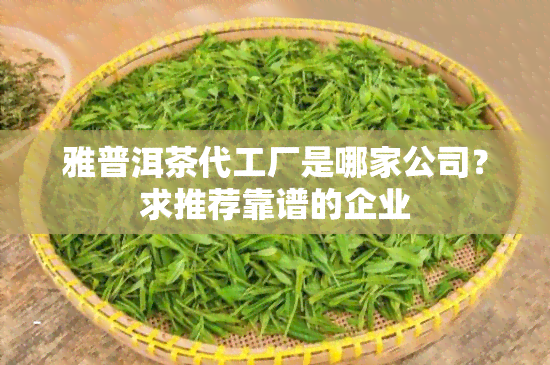 雅普洱茶代工厂是哪家公司？求推荐靠谱的企业