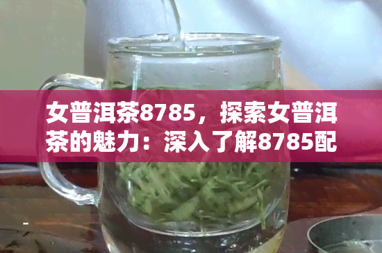 女普洱茶8785，探索女普洱茶的魅力：深入了解8785配方