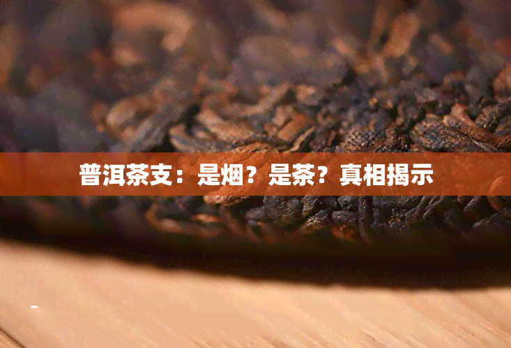 普洱茶支：是？是茶？真相揭示