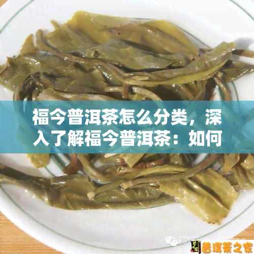 福今普洱茶怎么分类，深入了解福今普洱茶：如何进行分类？