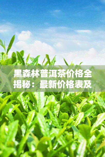 黑森林普洱茶价格全揭秘：最新价格表及参考价