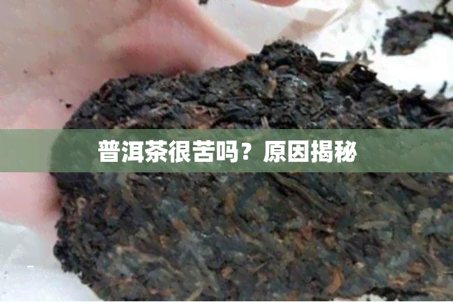 普洱茶很苦吗？原因揭秘