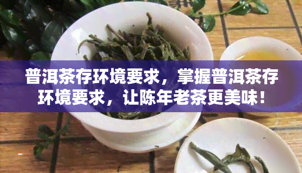 普洱茶存环境要求，掌握普洱茶存环境要求，让陈年老茶更美味！