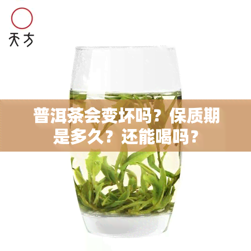 普洱茶会变坏吗？保质期是多久？还能喝吗？