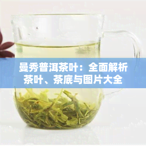 曼秀普洱茶叶：全面解析茶叶、茶底与图片大全