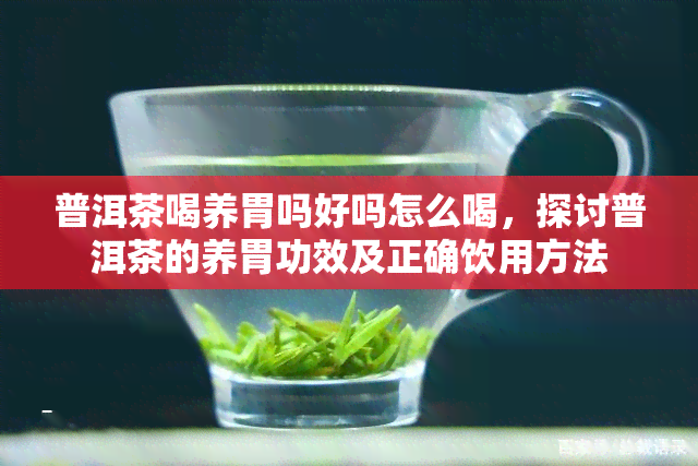 普洱茶喝养胃吗好吗怎么喝，探讨普洱茶的养胃功效及正确饮用方法