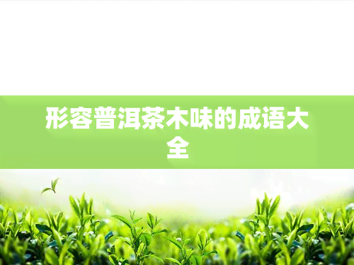 形容普洱茶木味的成语大全