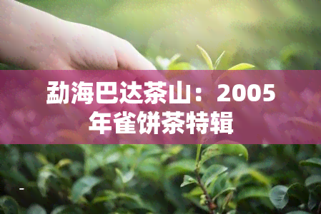 勐海巴达茶山：2005年雀饼茶特辑