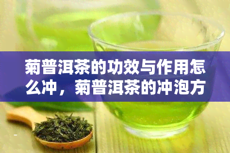 菊普洱茶的功效与作用怎么冲，菊普洱茶的冲泡方法及其功效与作用解析