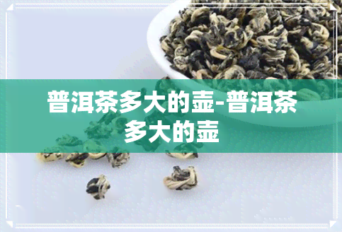 普洱茶多大的壶-普洱茶多大的壶