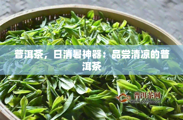 普洱茶，日消暑神器：品尝清凉的普洱茶