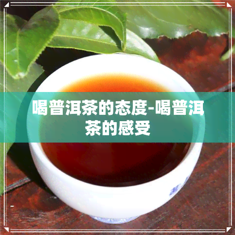 喝普洱茶的态度-喝普洱茶的感受