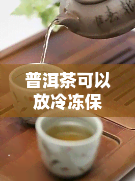 普洱茶可以放冷冻保存吗，普洱茶能冷藏保存吗？冷冻对普洱茶有何影响？