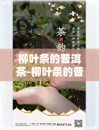 柳叶条的普洱茶-柳叶条的普洱茶怎么泡