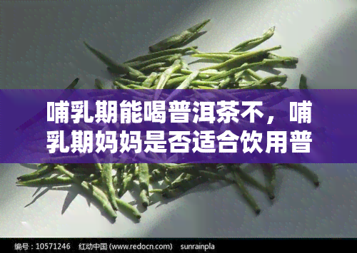 哺乳期能喝普洱茶不，哺乳期妈妈是否适合饮用普洱茶？