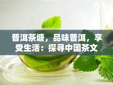 普洱茶塘，品味普洱，享受生活：探寻中国茶文化的魅力之源——普洱茶塘