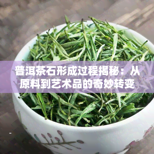 普洱茶石形成过程揭秘：从原料到艺术品的奇妙转变