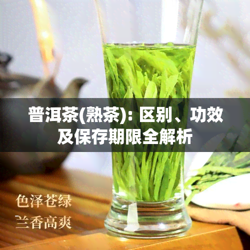 普洱茶(熟茶): 区别、功效及保存期限全解析