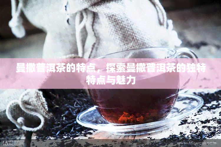 曼撒普洱茶的特点，探索曼撒普洱茶的独特特点与魅力