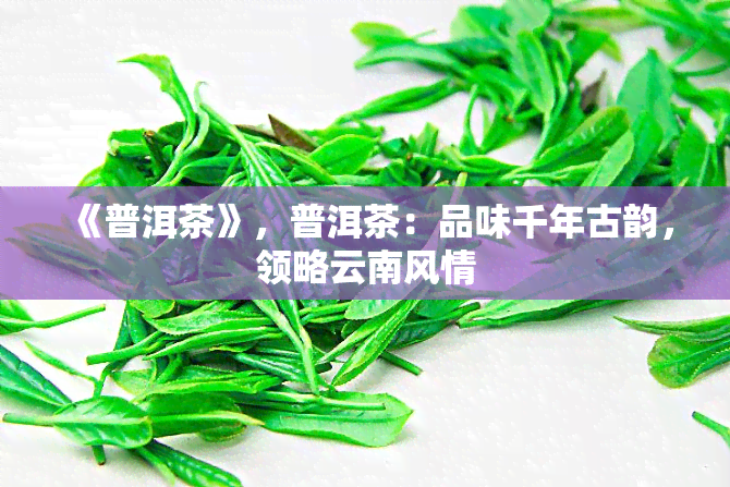 《普洱茶》，普洱茶：品味千年古韵，领略云南风情