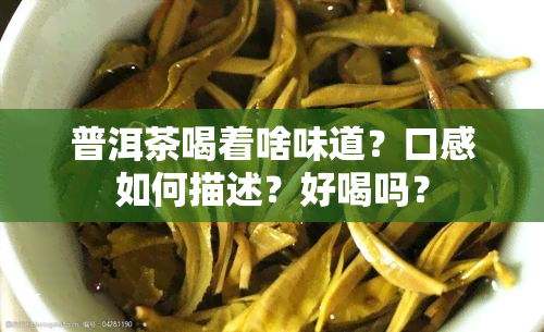 普洱茶喝着啥味道？口感如何描述？好喝吗？