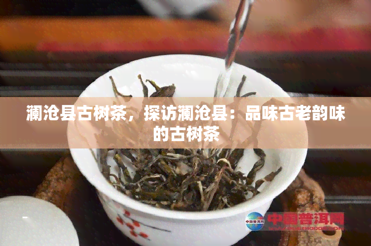 澜沧县古树茶，探访澜沧县：品味古老韵味的古树茶