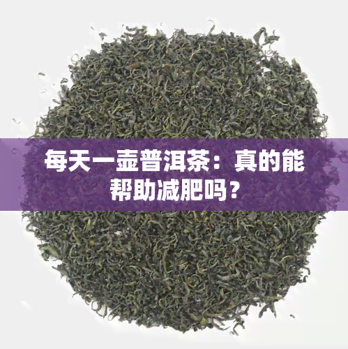 每天一壶普洱茶：真的能帮助减肥吗？