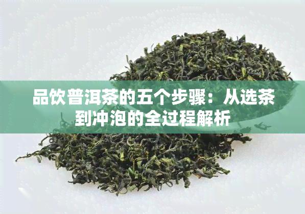 品饮普洱茶的五个步骤：从选茶到冲泡的全过程解析